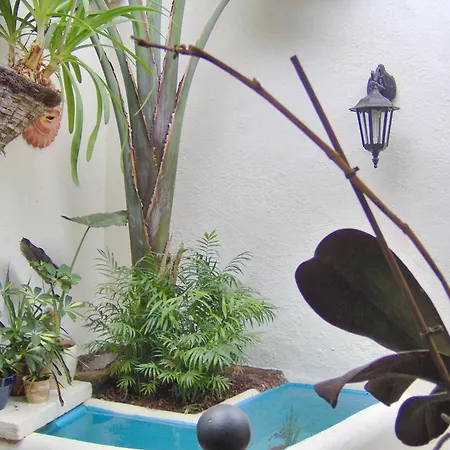 Apartment Modern With Balcony With Sea And Mountain Views No Teide-view *