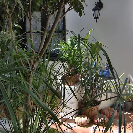Apartamento Modern With Balcony With Sea And Mountain Views - No Teide-view
